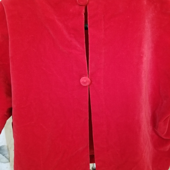 Vintage velvet cropped top ~Large - Picture 4 of 5